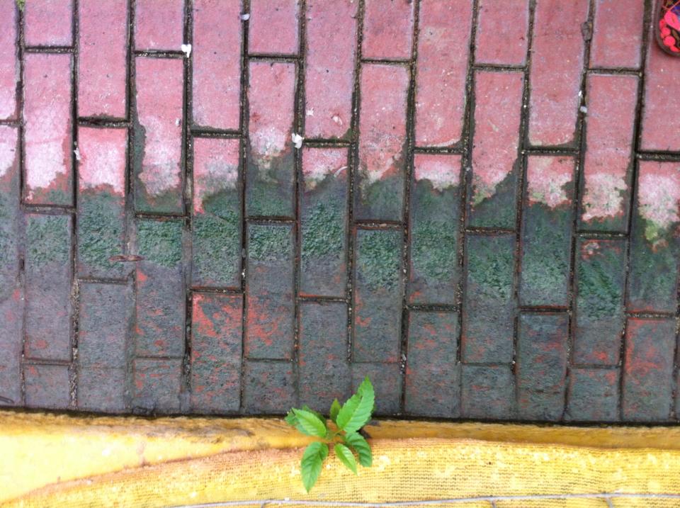 10425536_10152007170146442_1775315729_n