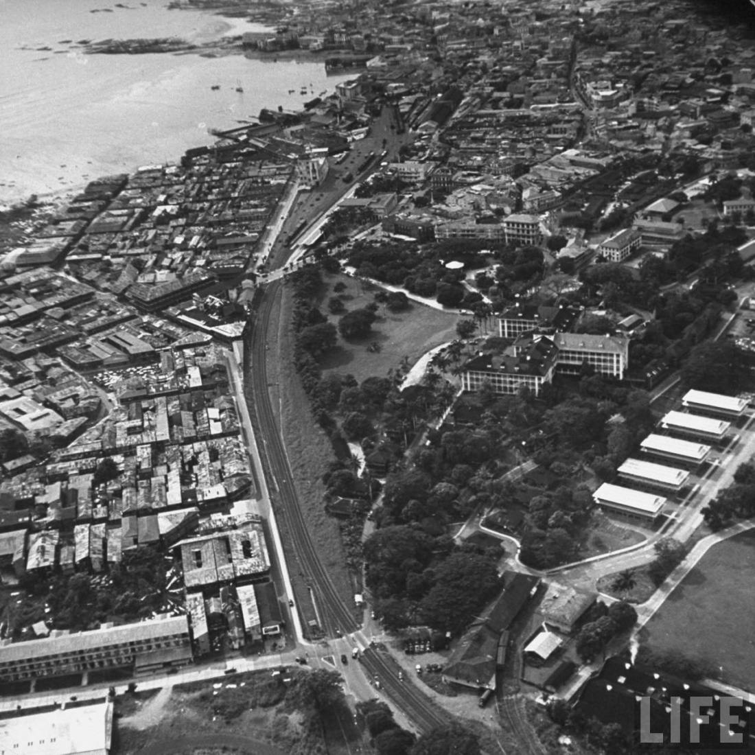 1939 Thomas D. Mcavoy